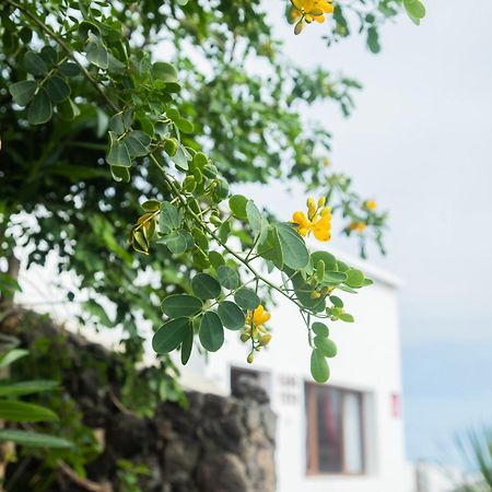 Casa Rural Yeyo En El Crater Del Volcan Тингуатон Экстерьер фото
